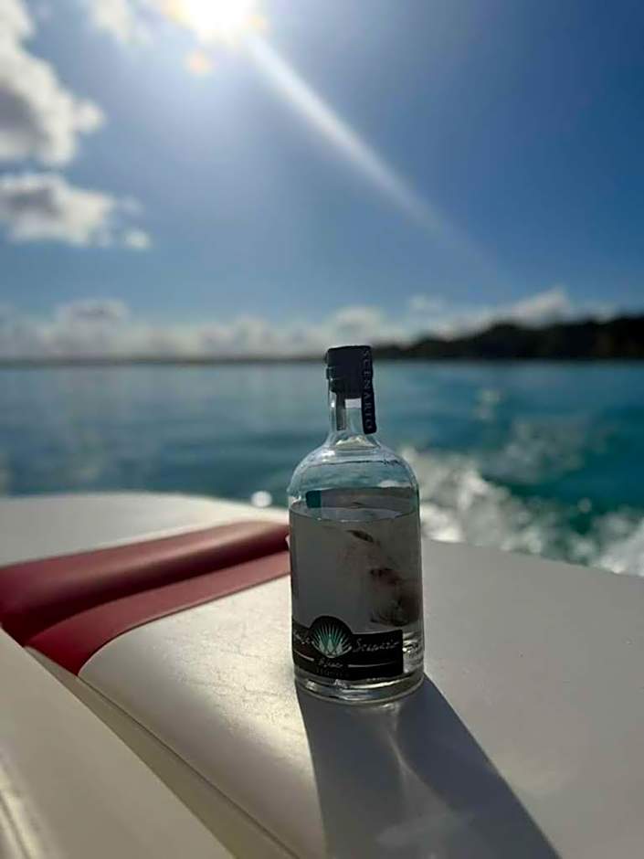 Hotel Alux x Over Blue