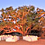 Mabula Game Lodge