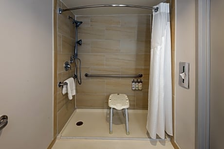 Standard Room 1 Queen Bed Accessible (Mobility Roll-In Shower)