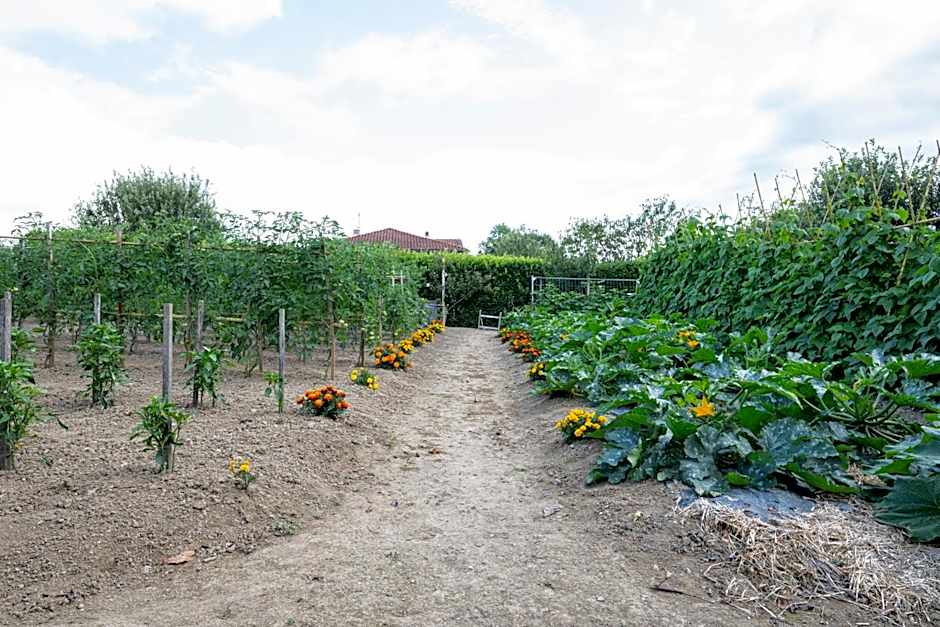 Hôtel Ithurria - Teritoria