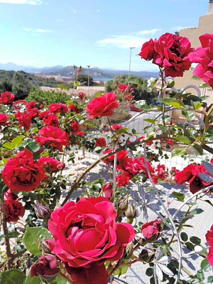 The Roses Garden