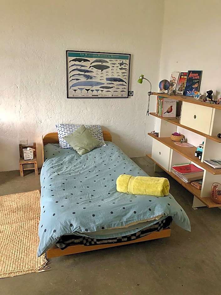 Departamento en planta baja con patio, dos habitaciones con dos ba¿os completos sala y cocina integral Vistas desde la azotea de