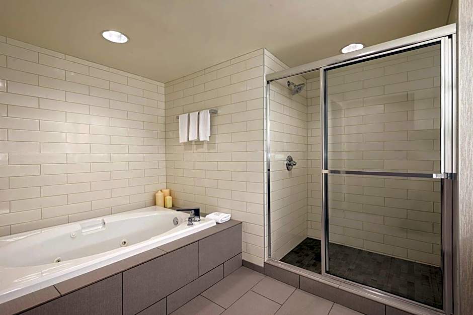 Embassy Suites by Hilton Atlanta Centennial Park