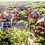 Aldea Kuká, Luxury Eco Boutique Hotel