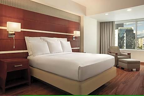 Executive, 1 King Bed, Guest room