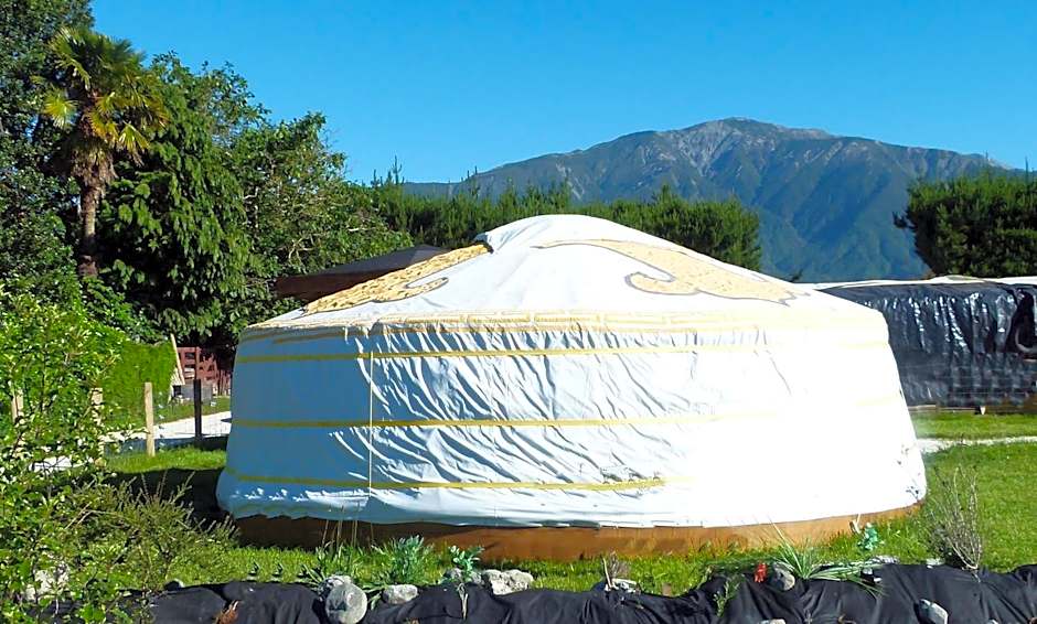 Wacky Stays - unique farm-stay glamping rentals, FREE animal feeding tours