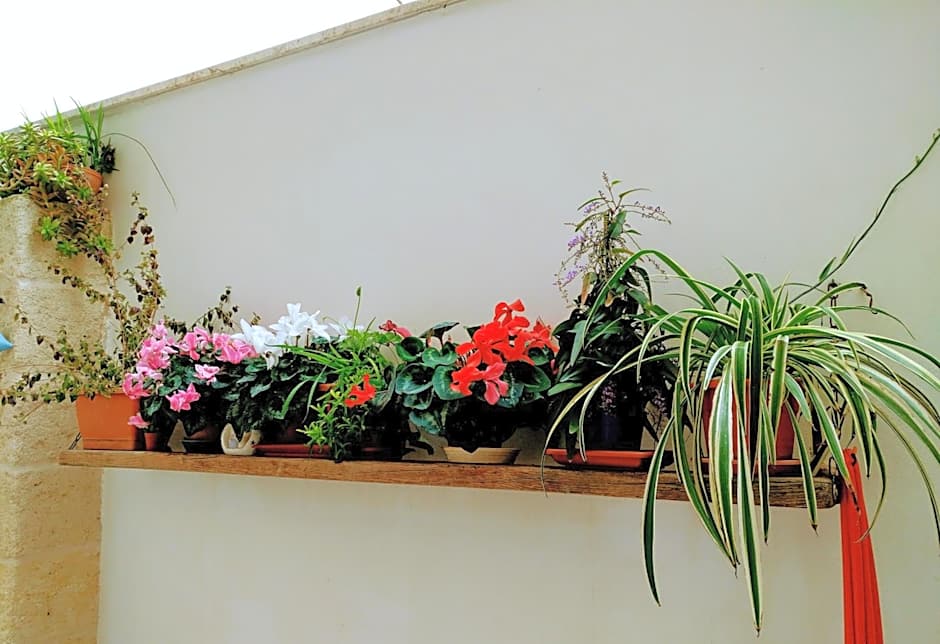 Casa della Nonna Polignano a mare