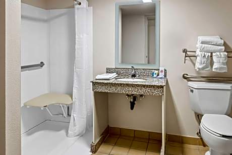 1 King Bed, Nonsmoking, Accessible