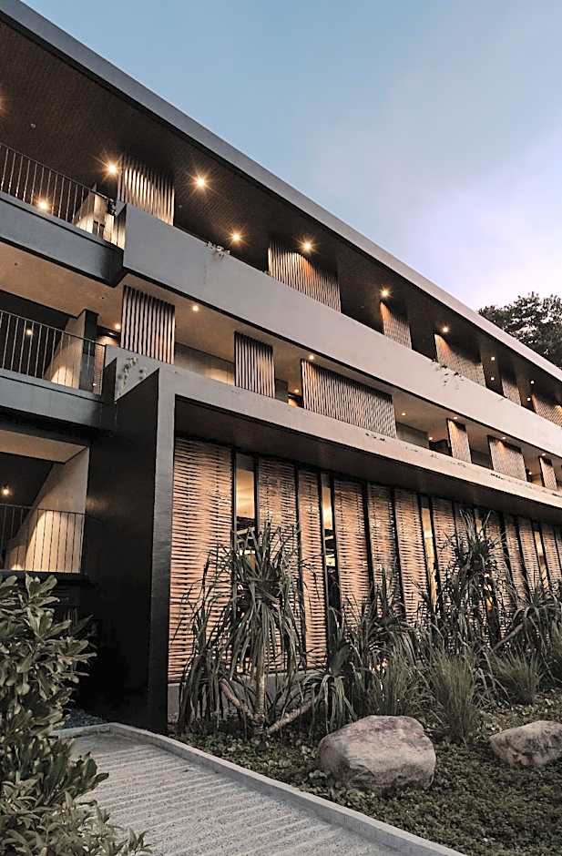 The Funny Lion - El Nido