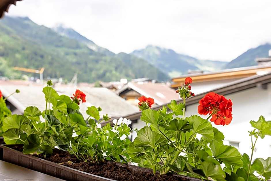 Appart & Hotel Garni Villa Knauer