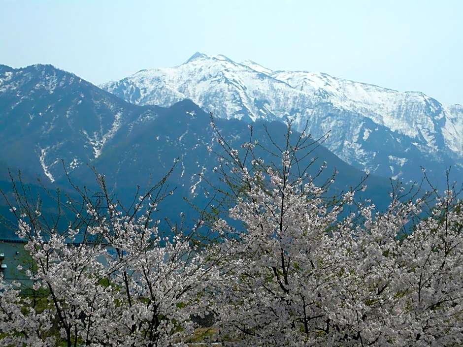 Maruyama Onsen Kojyokan