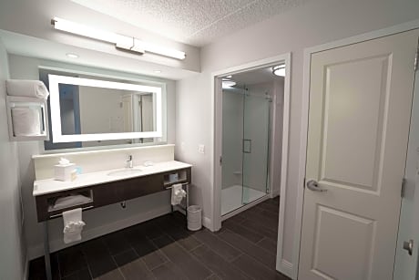 1 King Bed Suite Nonsmoking