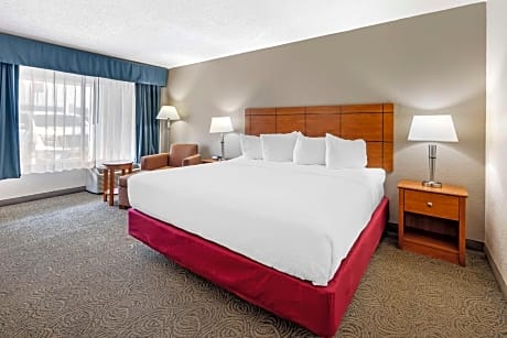 King Room - Pet-Friendly/Non-Smoking