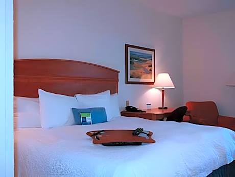 1 King Bed Non-Smoking