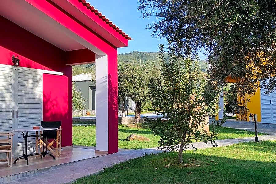 Socrates Organic Village - Wild Olive