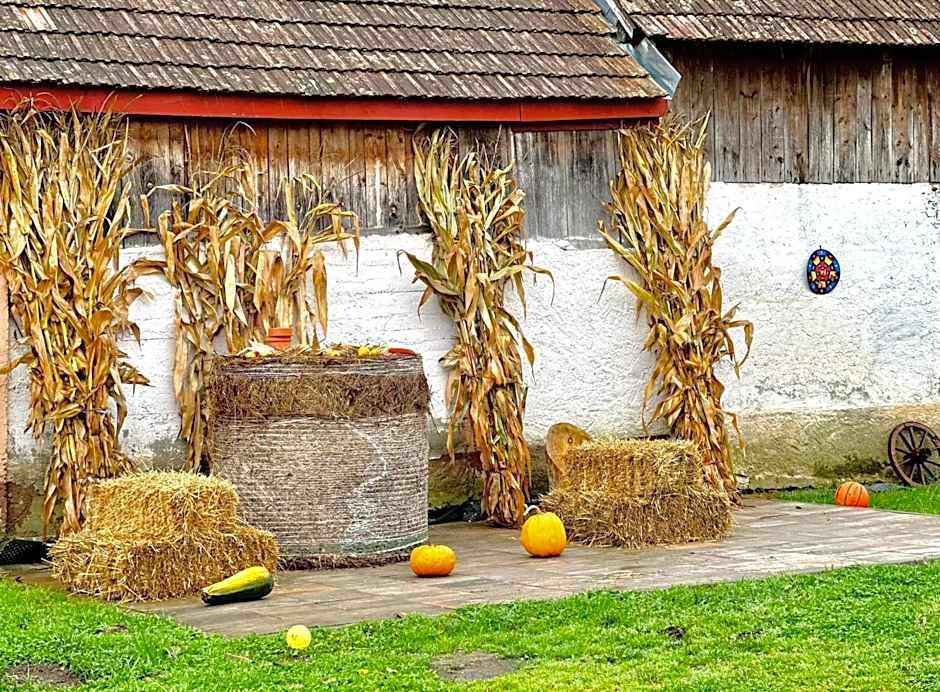 Casa de Lemn Arpasu de jos