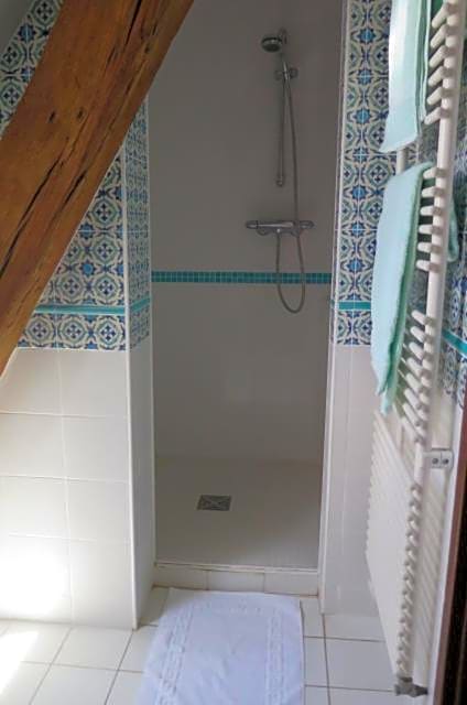 Chinon Manoir de l'Abbaye