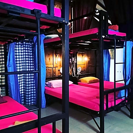Bunk Bed in Mixed Dormitory Room