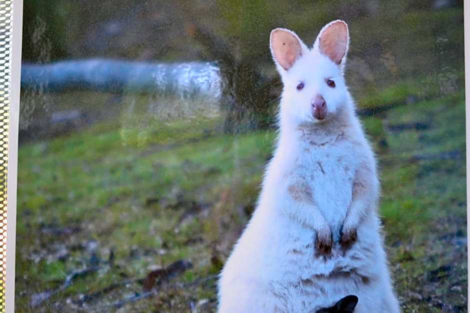 Bruny Island Holiday Park