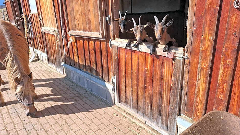 Blockhaustraum