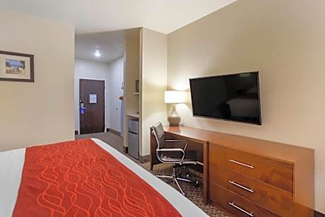 King Room with Roll-In Shower - Accessible/Non-Smoking