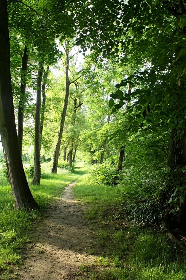 Une Parenthèse en Champagne - Chambres d'hôtes