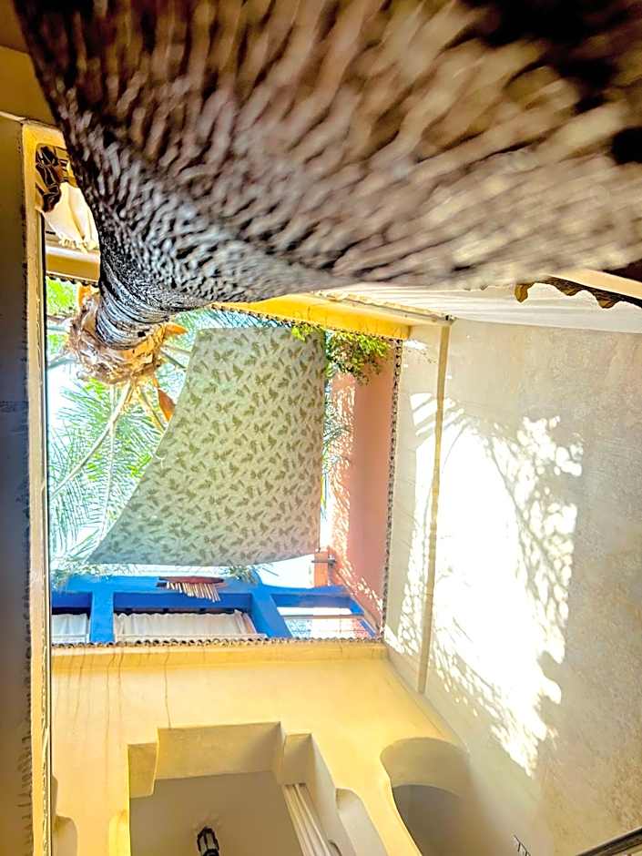 Riad Alamine