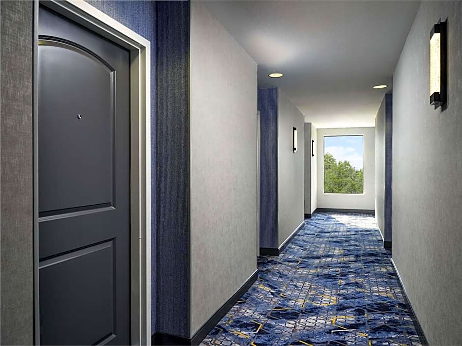 Hampton Inn & Suites Dallas-DFW ARPT W-SH 183 Hurst