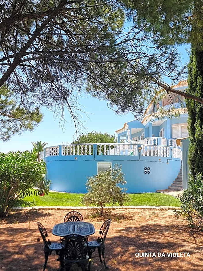 Villa Quinta da Violeta