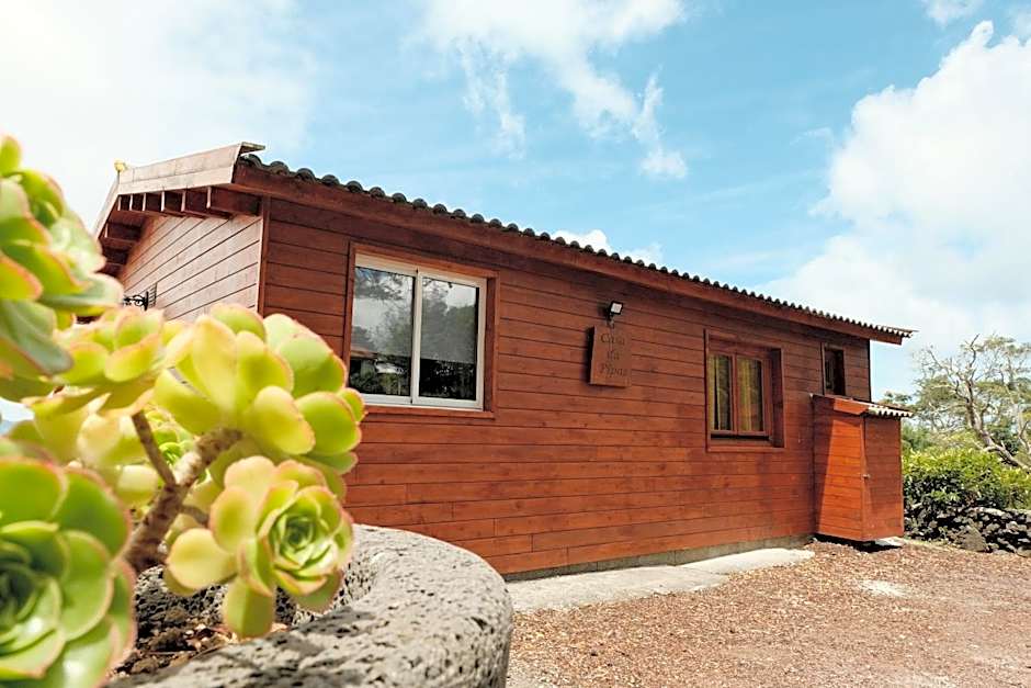 Adega da Quinta -Casa da Pipas