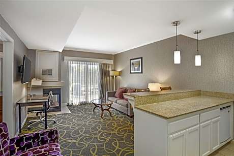 Suite-1 King Bed, Non-Smoking, Fireplace, Whirlpool Tub, Separate Living Area, Balcony, Sofabed, Ful