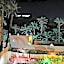 Riad Dar Zaouia