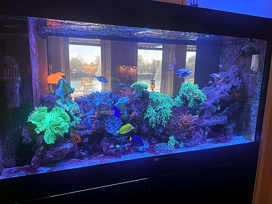 Hotel Le Beau Rivage