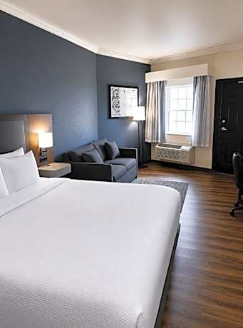 King Suite with Sofa Bed