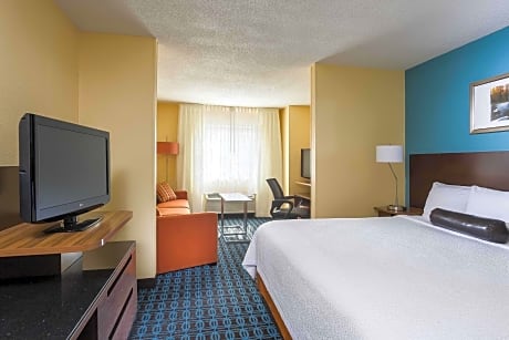 Executive Suite, 1 King Bed with Sofa Bed
