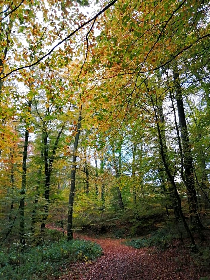 Pansion De Boerderij – Berdorf, MO