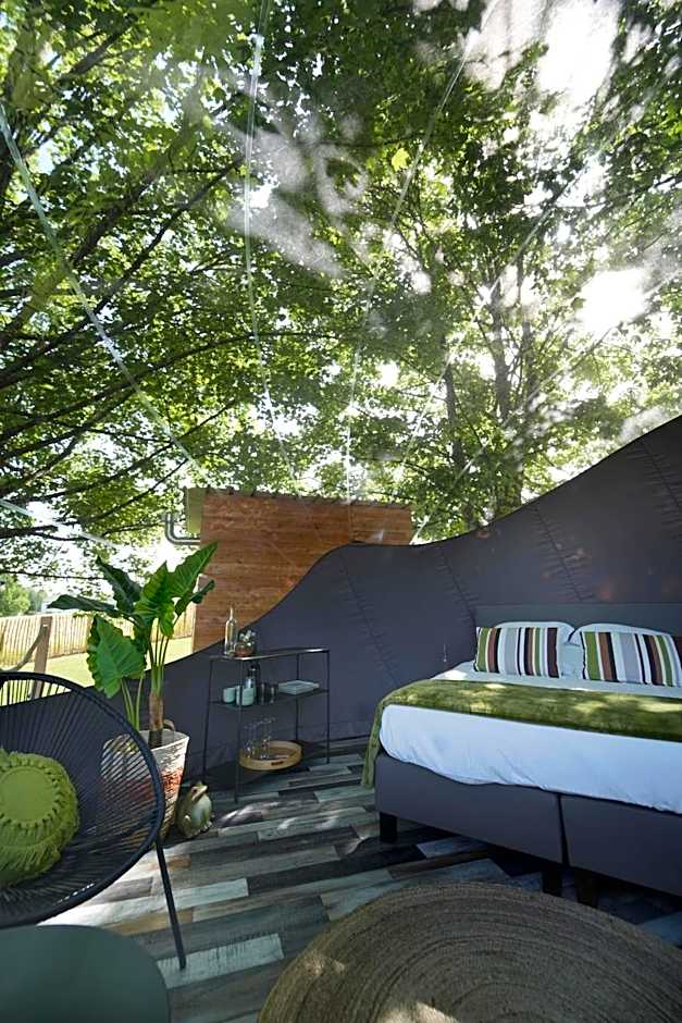 Bulles Odette & Ginette et Tiny House Suzette "Au guet Marais" Etape Insolite