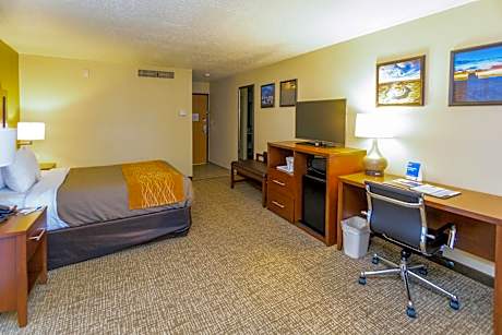 Standard King Room - Non-Smoking