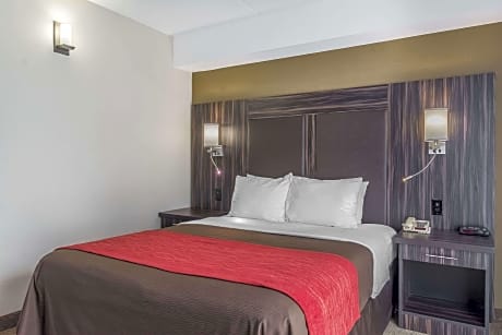 1 Queen Bed, Nonsmoking, Accessible