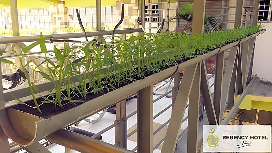 REGENCY HOTEL DE VIGAN