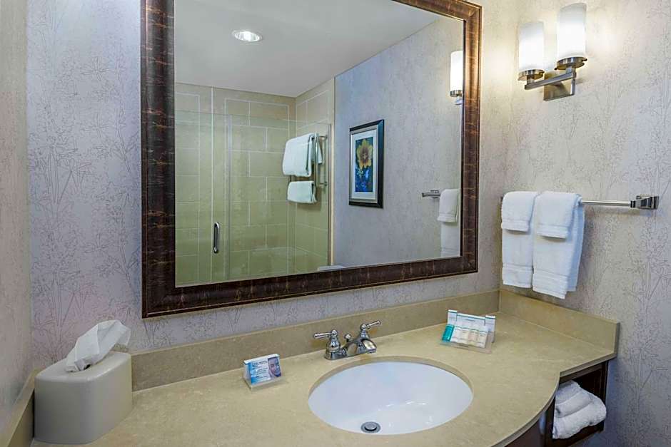 Hilton Garden Inn San Antonio the Rim