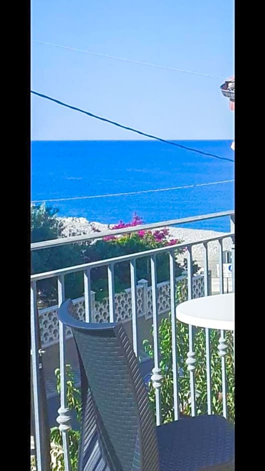 Affittacamere delle rose