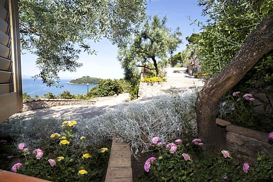 Hotel Arenauta