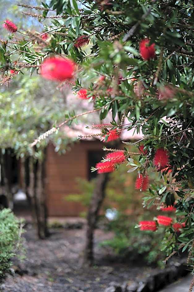 Alma do Pico - Nature Residence