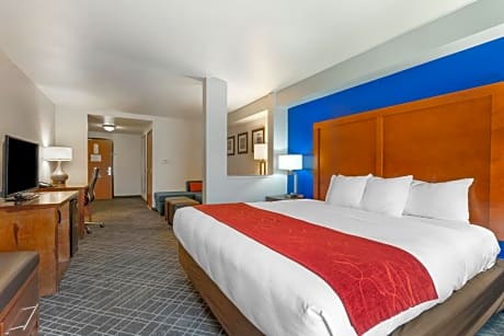 1 king bed, business room, suite, nonsmoking, accessible