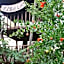 Kibala Hotel