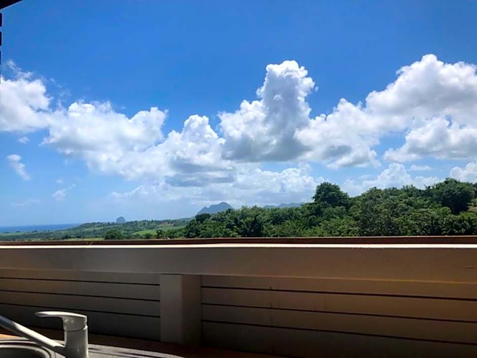 Villa Tigo T3 Colibri