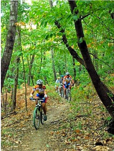 Daytona Business Hotel