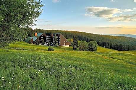 Hotel Tetřeví Boudy