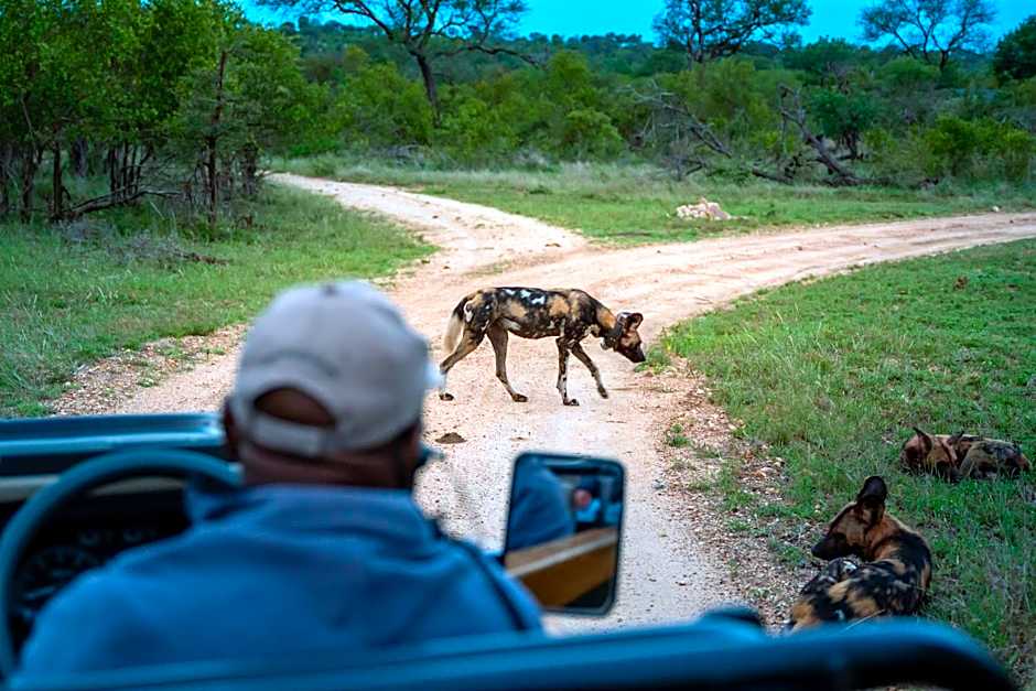 Thornybush Game Lodge